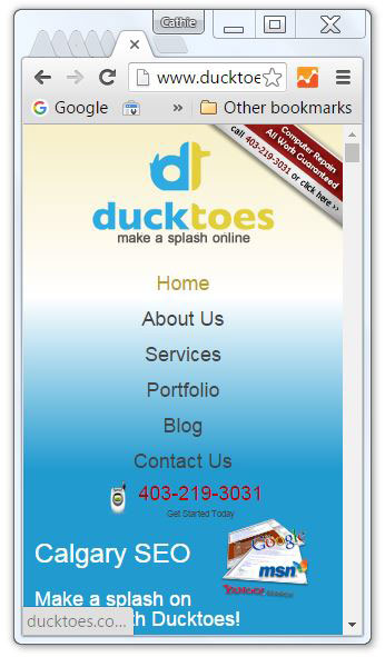 Ducktoes Post-mobile responsive